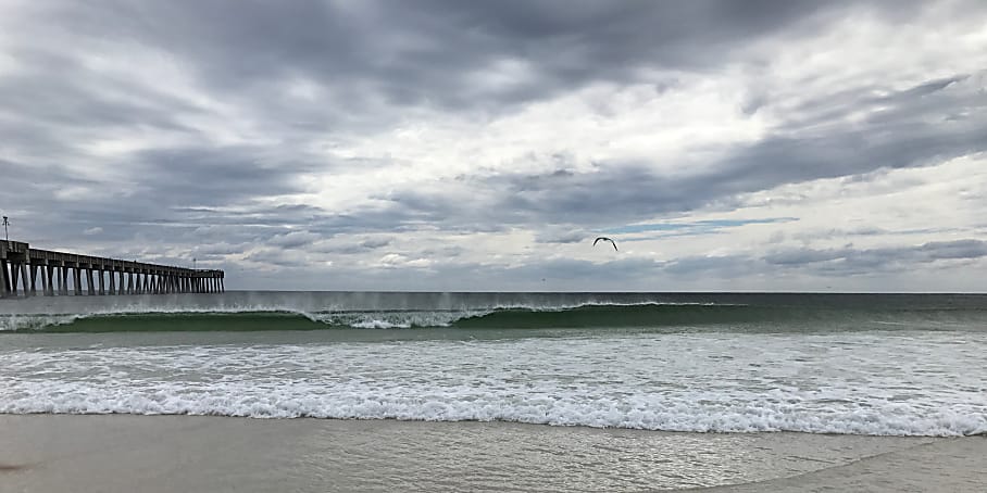 Sustainable Ocean Alliance and Their Plan to Save our Oceans