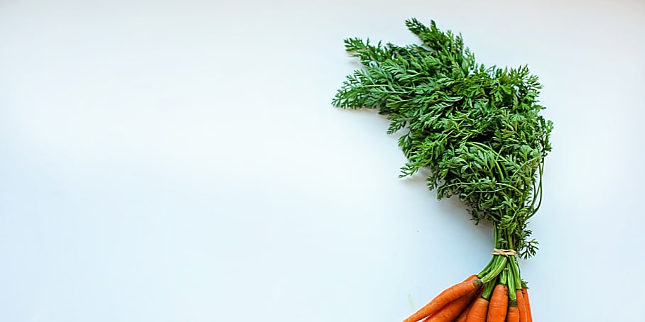 Garden of Serenity: Don't Buy Your Food, Grow It
