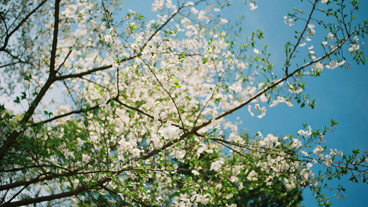 17. mai - Liminal