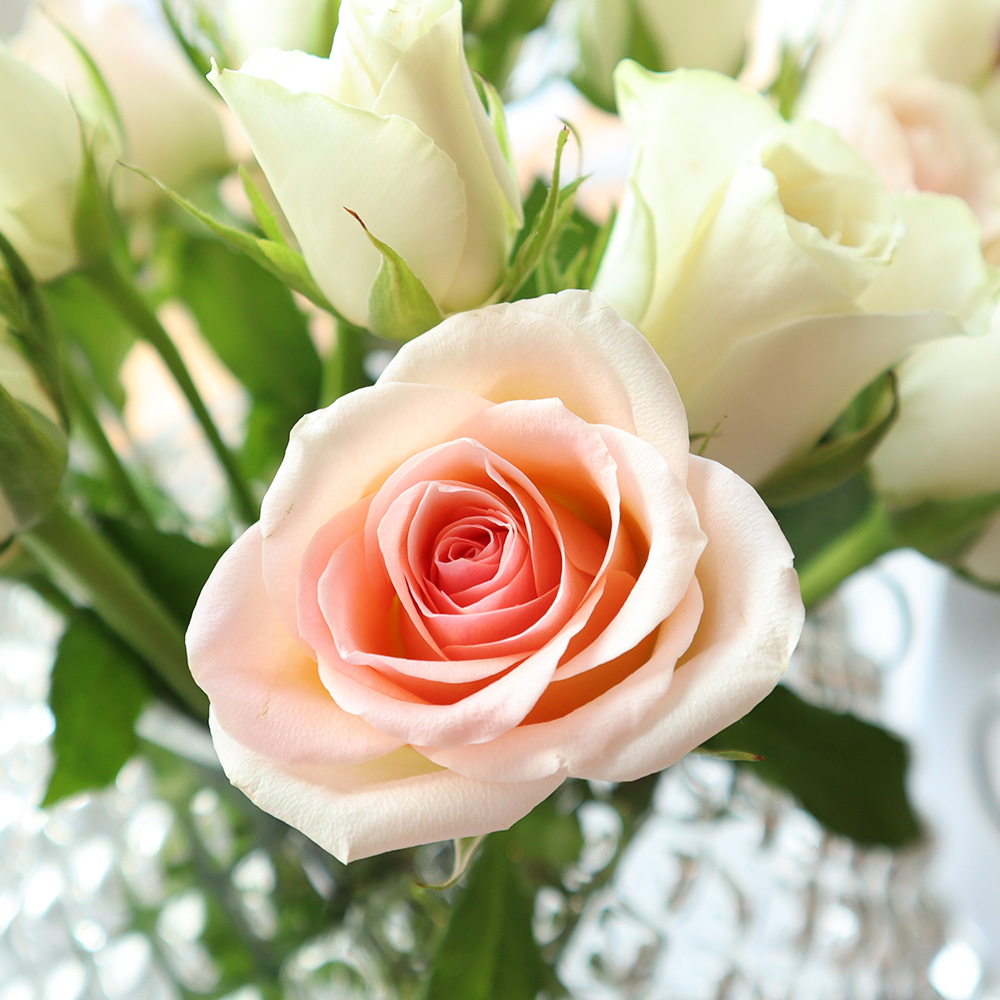 Alla Hjärtans Dag - Långholmens Wärdshus