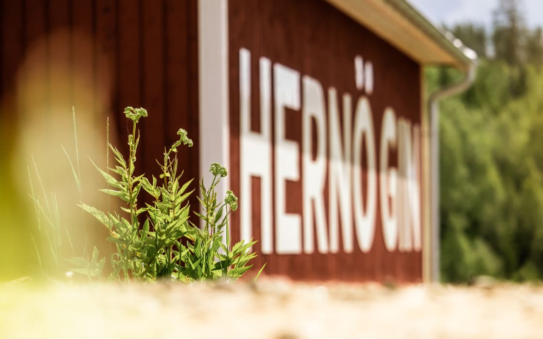 Hernö Gin, Härnösand