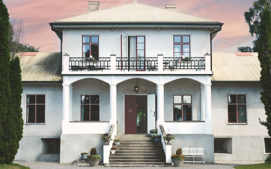 Grå Gåsen