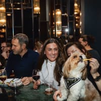 Paraden Kvarterskrog