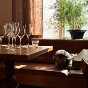 Champagnebaren