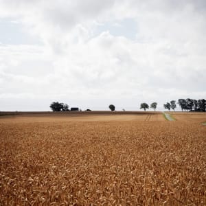 Vyn Restaurant – Daniel Berlin