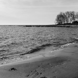 Vyn Restaurant – Daniel Berlin