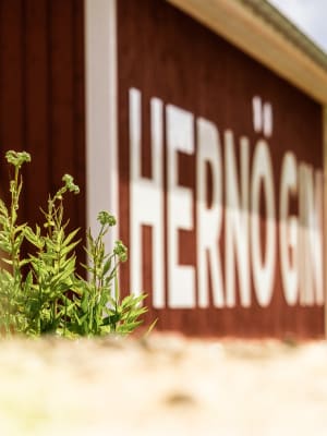 Hernö Gin, Härnösand
