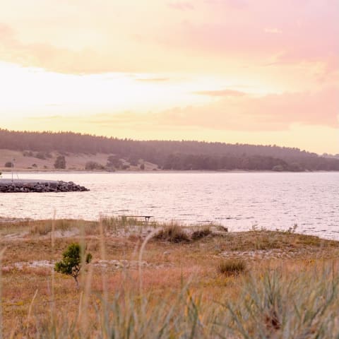 Vitemölla Badhotell