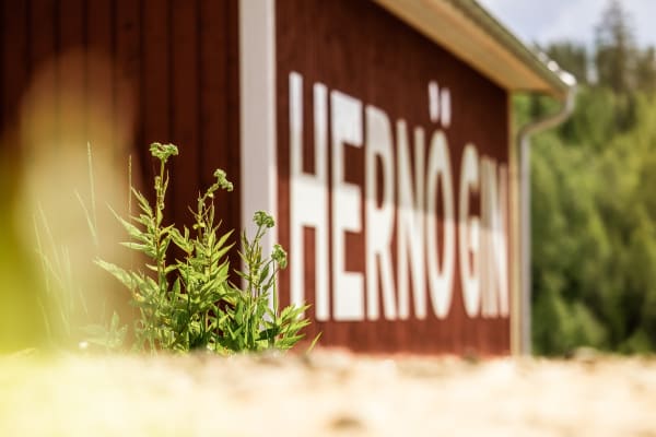 Hernö Julsmak - Hernö Gin, Härnösand