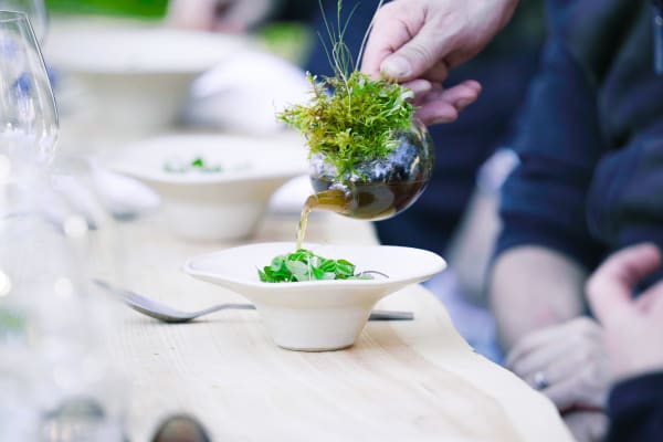 CHAMPAGNE DELUXE - All inclusive 27 februari 2026 - Jord i Pukhult