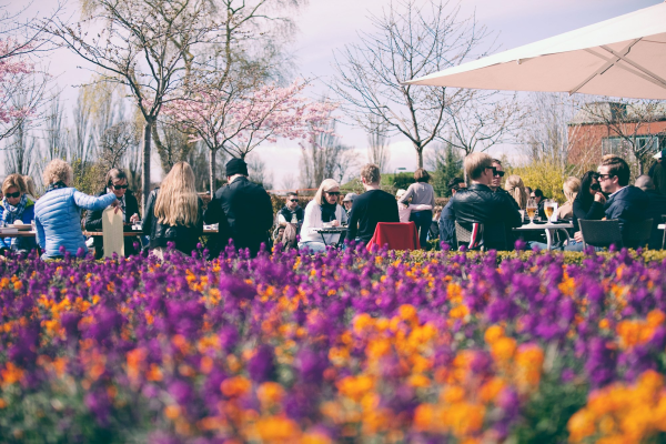 Slottsträdgårdens Kafé