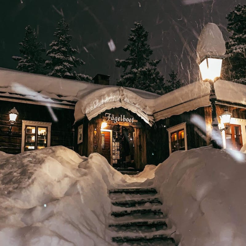 Siwerson i Fågelboet