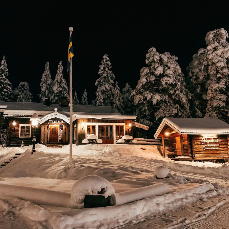 Siwerson i Fågelboet