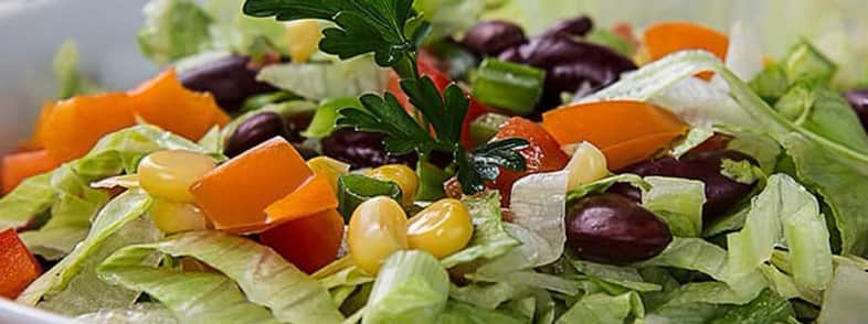 Fit Bite PK