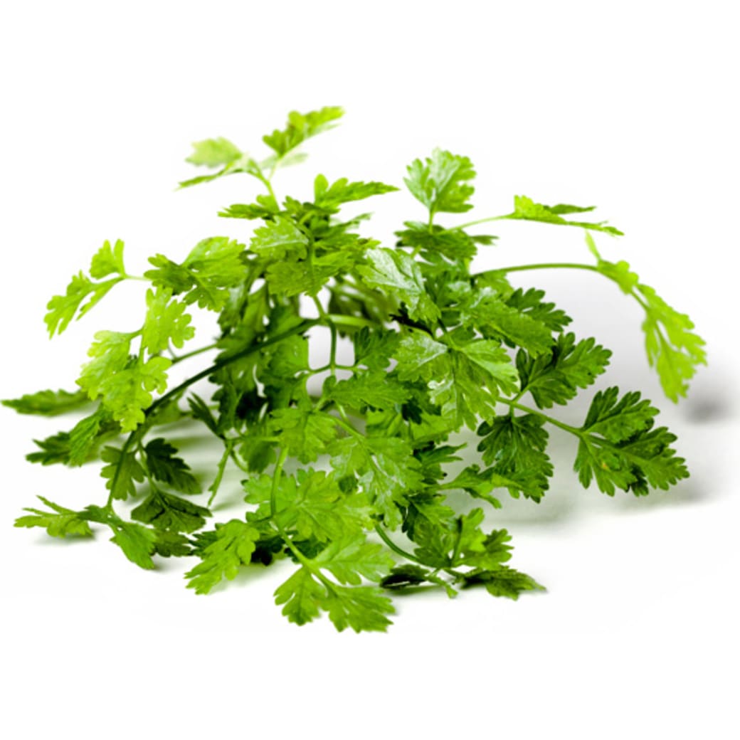 Chervil