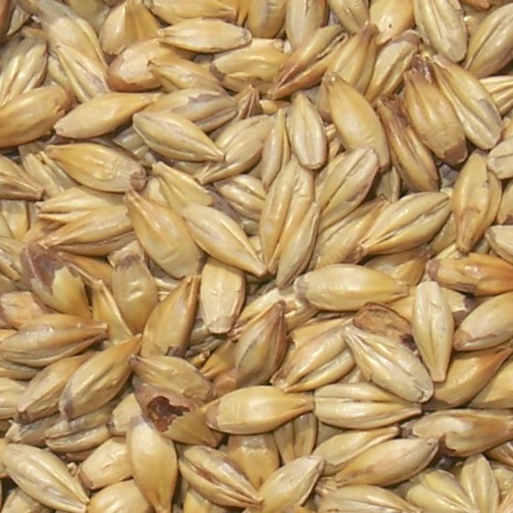 Malt