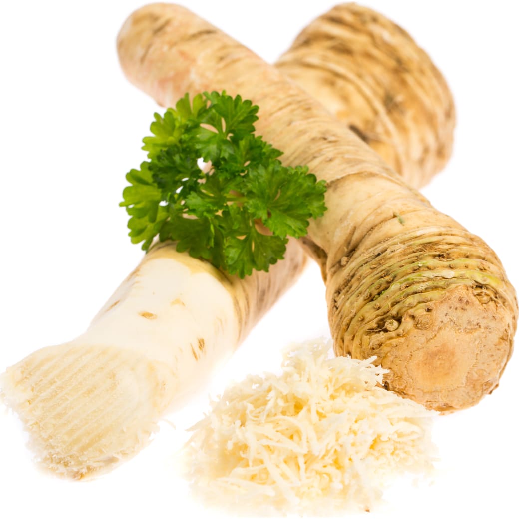 Horseradish