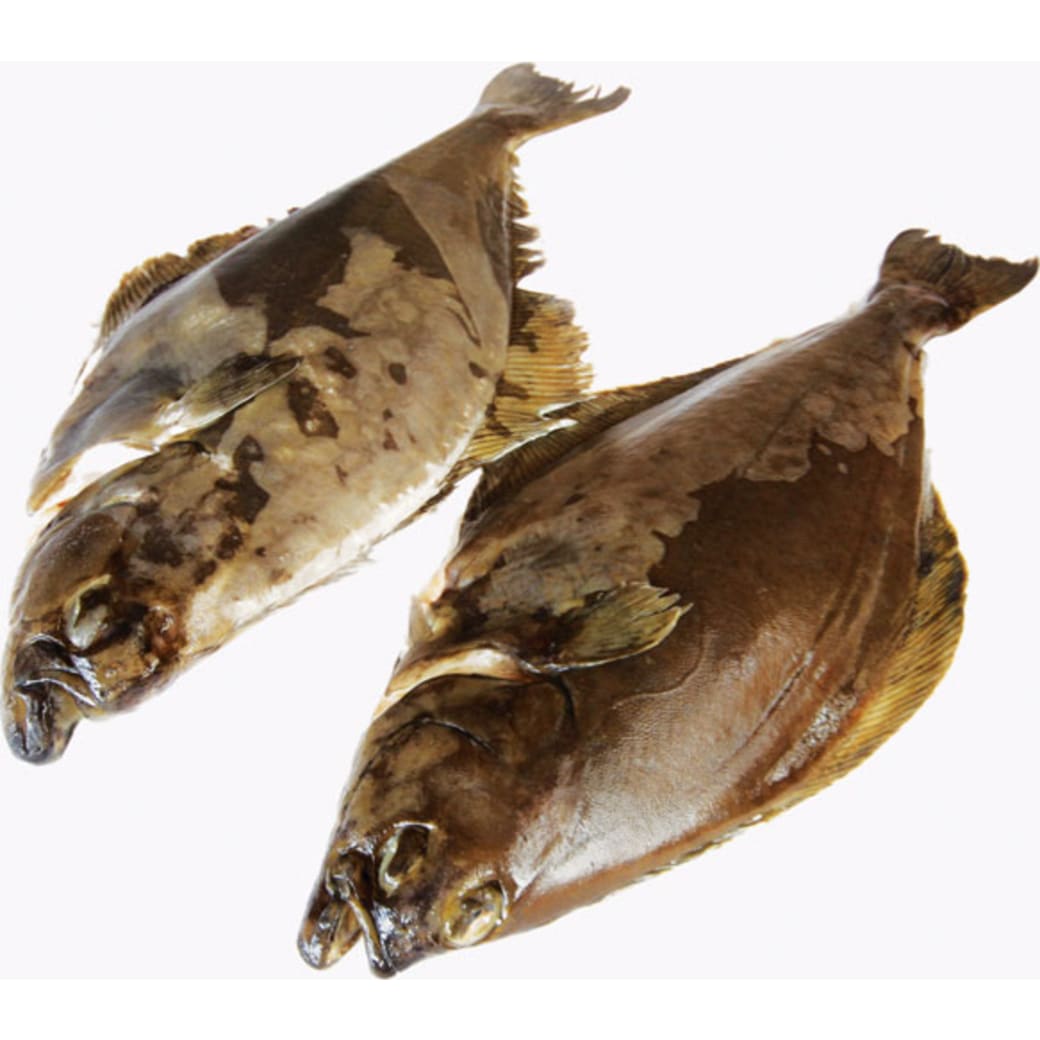 Halibut