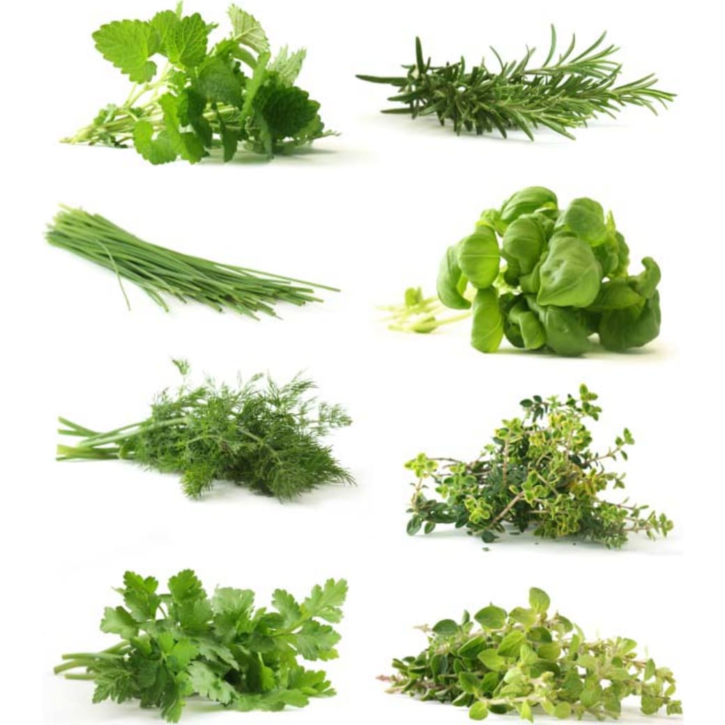 Herbs
