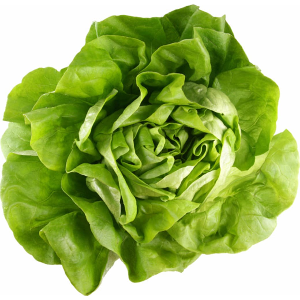 Lettuces