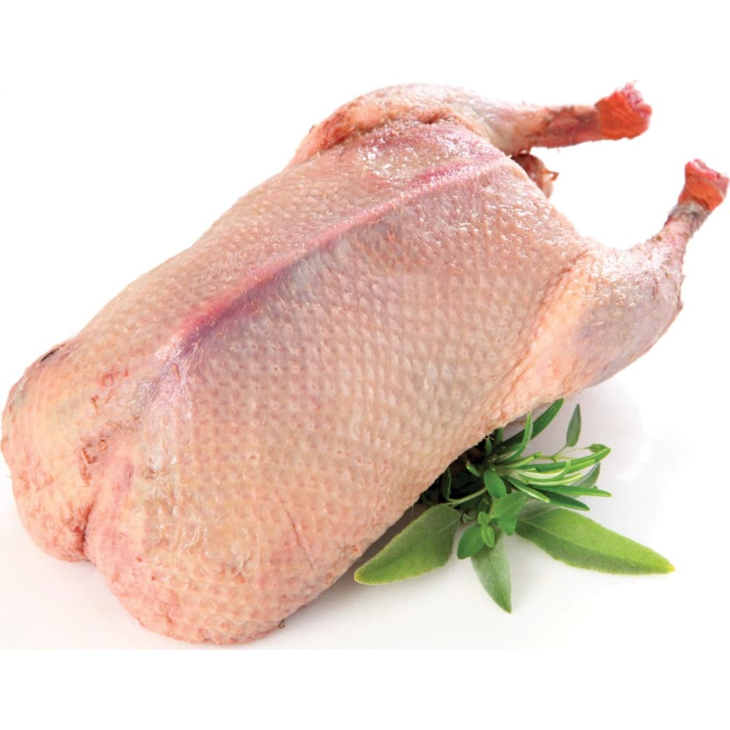 Duck