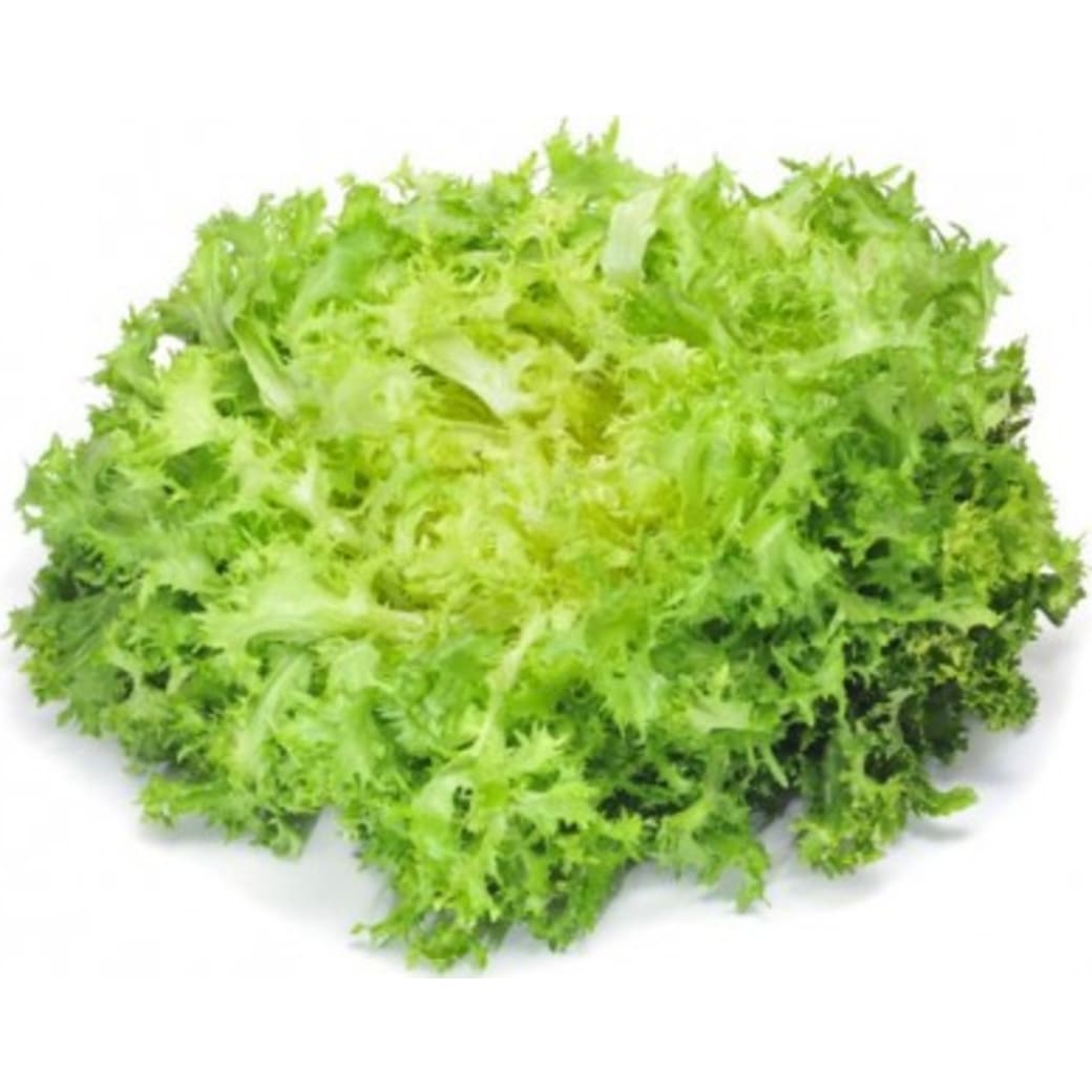 Curly endive