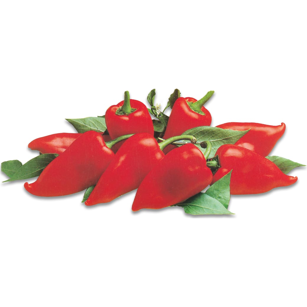 Piquillo peppers