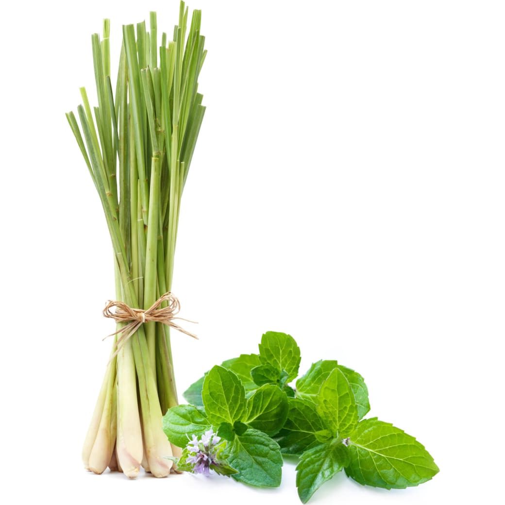 Lemongrass