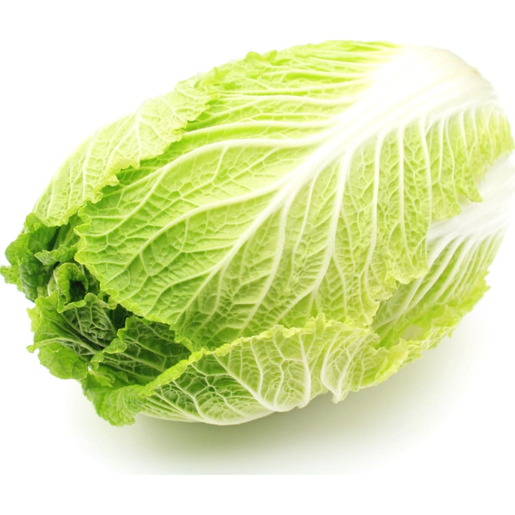 Napa cabbage