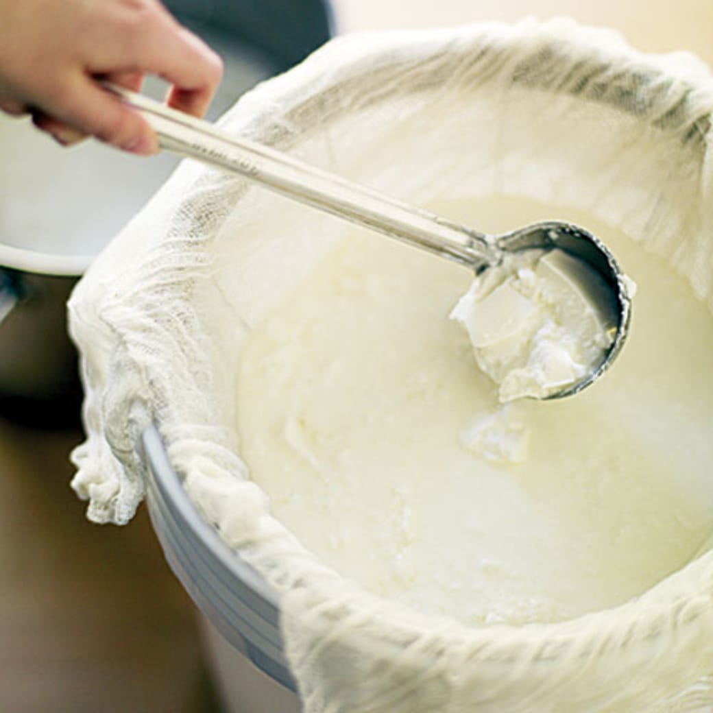 Fromage blanc cheese