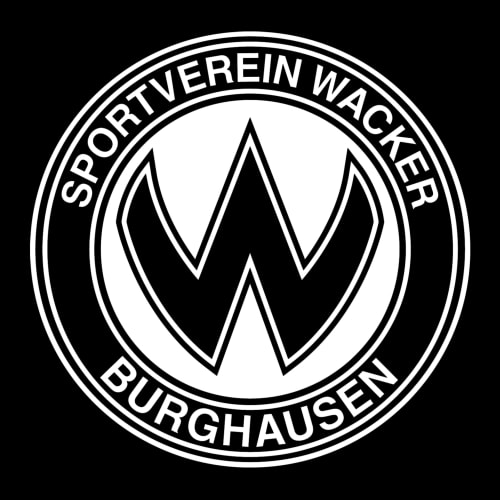 Vision 2030: Der SVW-Podcast logo