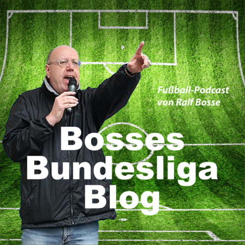 BOSSES BUNDESLIGA BLOG logo