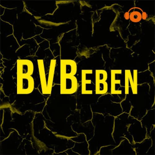 BVBeben logo