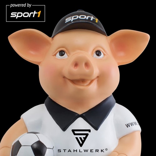 Der STAHLWERK Doppelpass logo