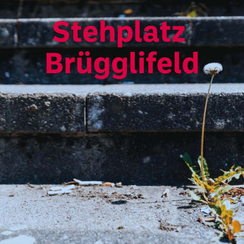 Stehplatz Brügglifeld logo