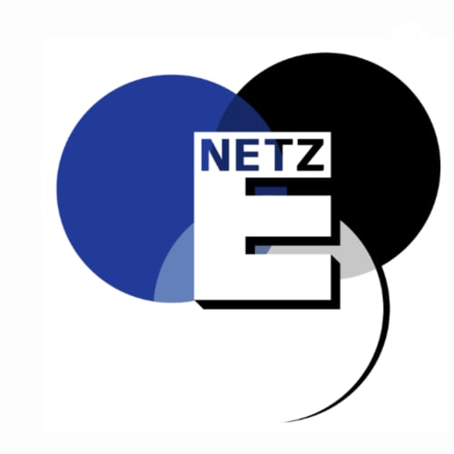 Netzwerk - Der Podcast vom Netz E logo
