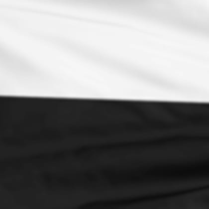 Udinese Calcio