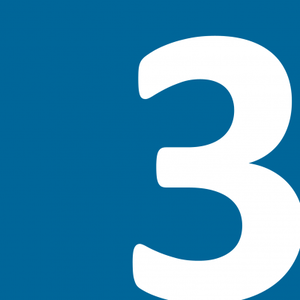 Der ganz normale Wahnsinn logo