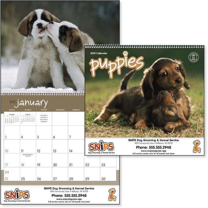 Promotional Puppy Calendar Wholesale Wall Appointment Calendar