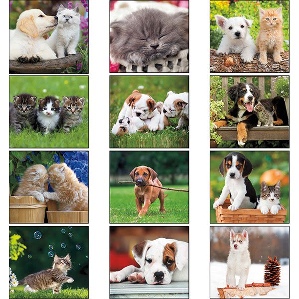 12Month Imprinted Mini Calendar Puppies & Kittens Calendars