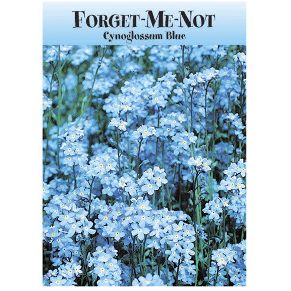 forget me not seedlings pictures