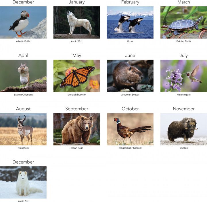 Stitched Wildlife Wall Calendar | Custom Wholesale Wildlife Calendars