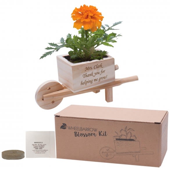 Custom Blossom Kit | Custom Keepsakes for Home