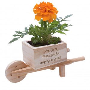 Personalized Wooden Wheelbarrow Blossom Kit