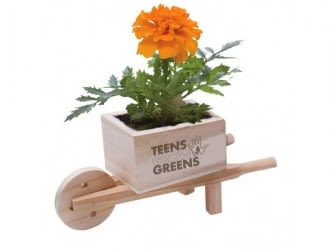 Custom Grow Kits | Promotional Flower Pots & Planters