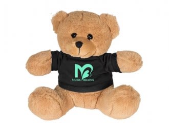 promotional teddy bears with hoodies