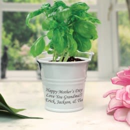 Mini Pail Personalized Basil Herb Kit