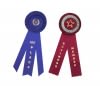 Customizable Award Ribbons | Bulk Rosette Award Ribbons | Branded Flat Ribbons