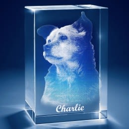 Pet Memorial 3D Photo Tower Crystal Keepsakes | Pet Memorials