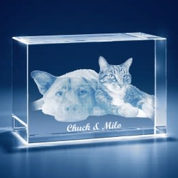 Personalized Pet Photo Keepsake | 3D Engraved Crystal